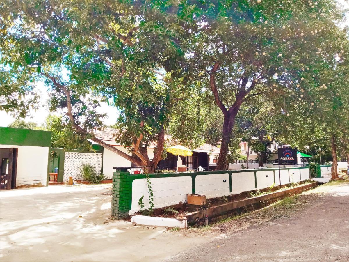 Sobaya Daire Anuradhapura Dış mekan fotoğraf